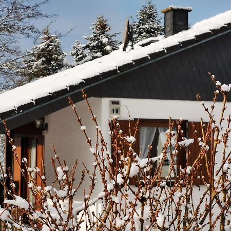 Bb19 Eifel-Ferienhaus Am Moseltal Mit Saunahaus Beuren  Bagian luar foto