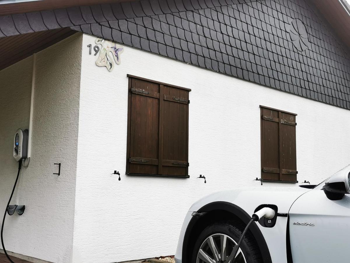 Bb19 Eifel-Ferienhaus Am Moseltal Mit Saunahaus Beuren  Bagian luar foto